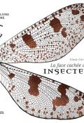 La face cachée des insectes-corman-livre jeunesse