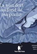 La nuit dort au fond de ma poche, Véronique Borg, Laure Guillebon, livre jeunesse