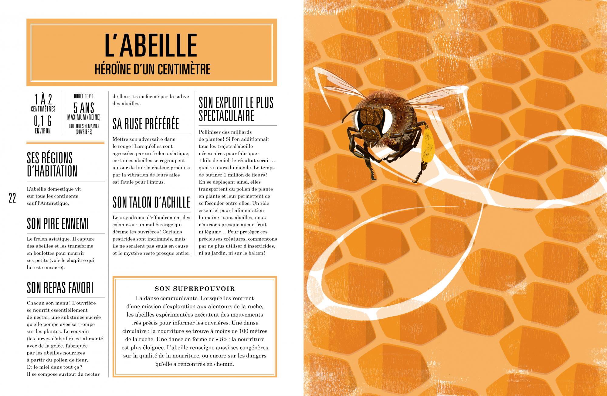 Le Petit Cahier - Honey — Chardon Paris