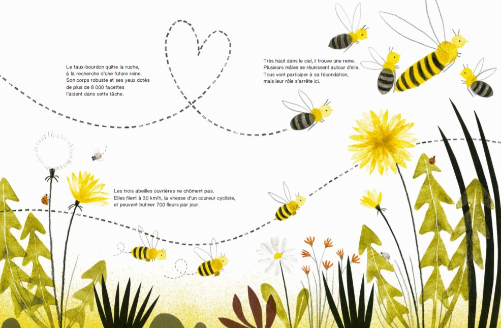 Zoom sur les abeilles - livre pour enfants à partir de 3 ans