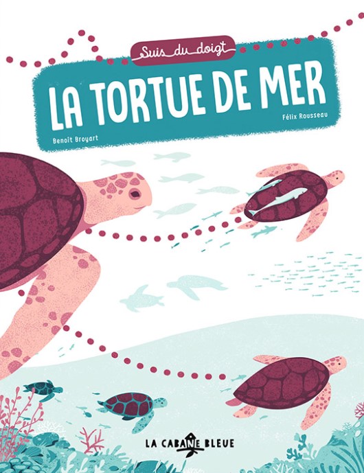 La tortue, un nouvel animal de compagnie sur qui on a tant de choses à  apprendre. - France Bleu
