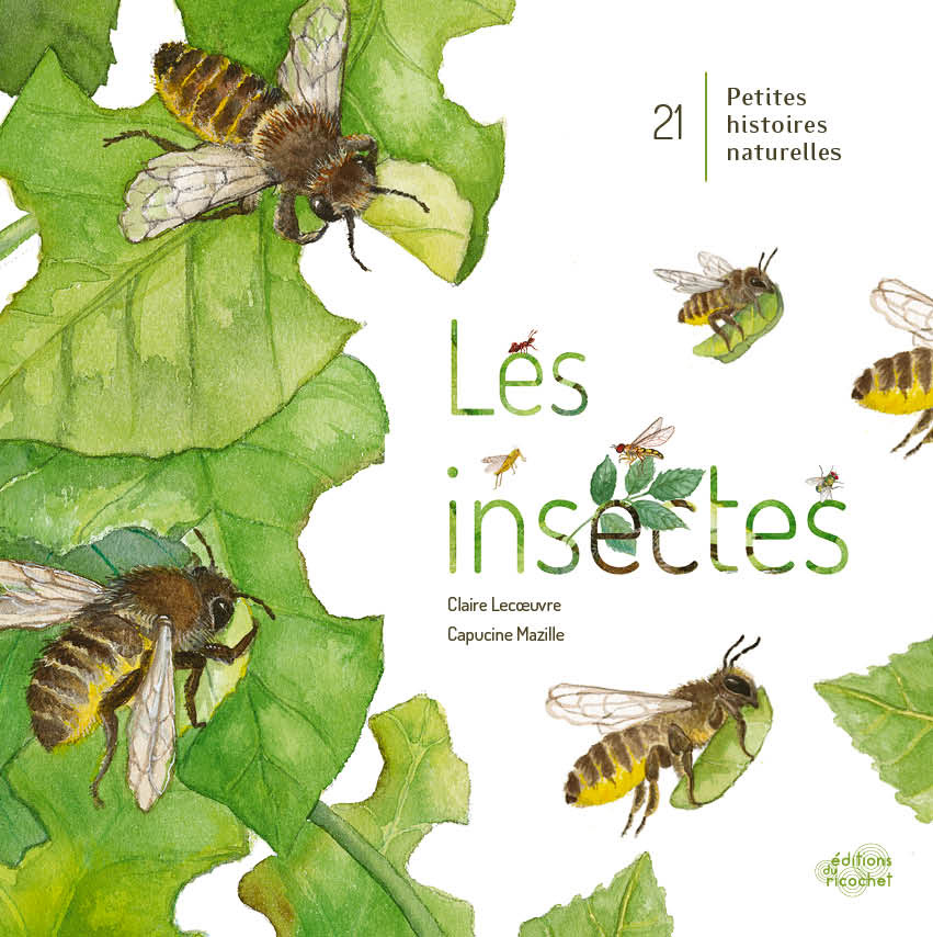 Le Petit Cahier - Honey — Chardon Paris