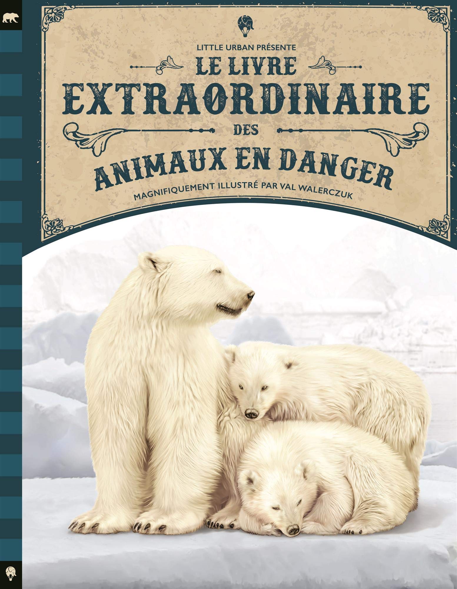Animaux sauvages 1 - Dictionnaire visuel  Imagier animaux, Animaux sauvages,  Animaux