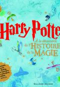harry potter : à la découverte de l'histoire de la magie