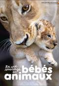 La vie sauvage des bébés animaux , Collectif , Sanya Jain , Bruno Porlier , Livre jeunesse