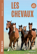 Les chevaux, Hélène Bourgoin, Livre jeunesse