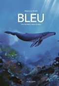 Bleu, Stéphane Kiehl, livre jeunesse
