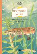 Un triton est né-Marion Bottolier Curate-Serge Müller-Livre jeunesse