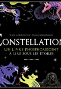 Constellations : un livre à ouvrir sous les étoiles-Anne Jankéliowitch-Sarah Andreacchio-Livre jeunesse