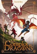 Le complot des dragons-David Bry-Livre jeunesse