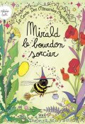 Mirald le bourdon sorcier-Héloïse Solt-Livre jeunesse