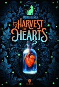 A harvest of hearts-Andrea Eames-Livre jeunesse