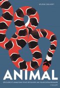 Animal-Hélène Druvert-Livre jeunesse