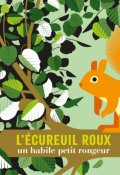 L'écureuil roux : un habile petit rongeur-Cécile Jacoud-Livre jeunesse