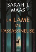 La lame de l'assassineuse, Sarah J. Mass, Livre jeunesse