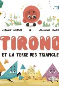 Tirond et la terre des triangles, Agnès Rigny, Jeanne Amiot, Livre jeunesse