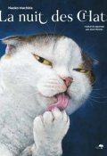 La nuit des chats-Naoko Machida-Livre jeunesse