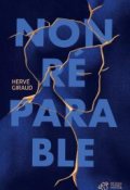Non réparable, Hervé Giraud, Livre Jeunesse