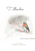 T'attendre - Véronique Willems - Livre jeunesse